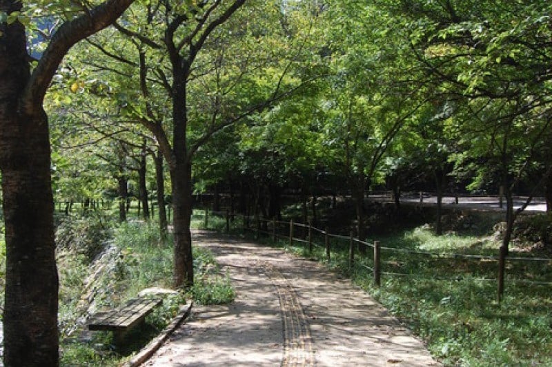 內藏山國立公園 (15/40)