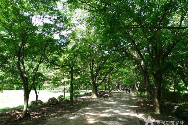 內藏山國立公園 (17/40)