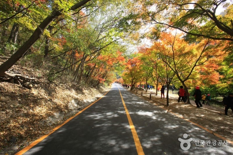 內藏山國立公園 (18/40)