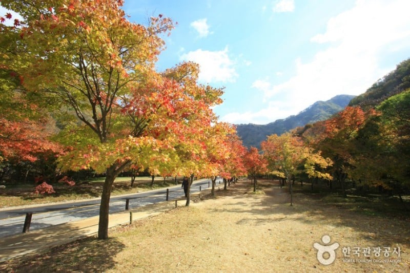 內藏山國立公園 (19/40)