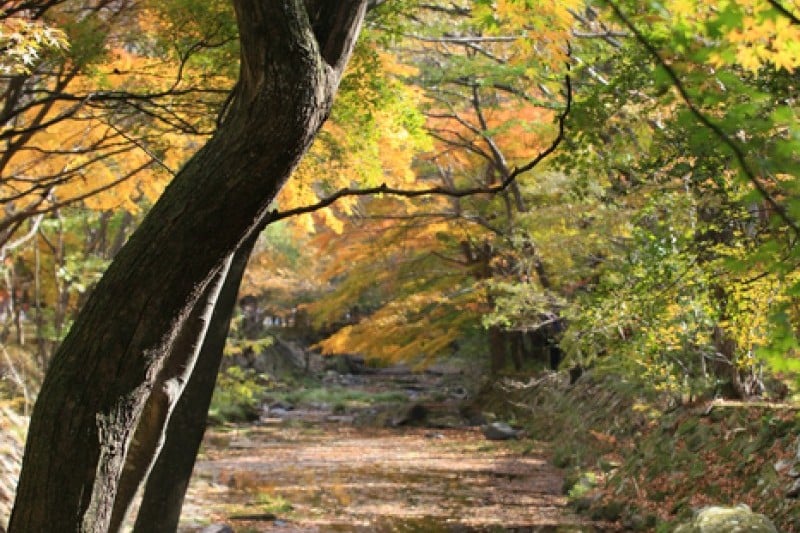 內藏山國立公園 (20/40)