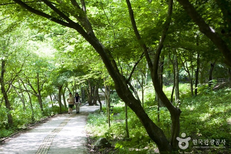 內藏山國立公園 (23/40)