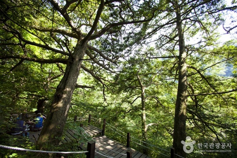內藏山國立公園 (24/40)