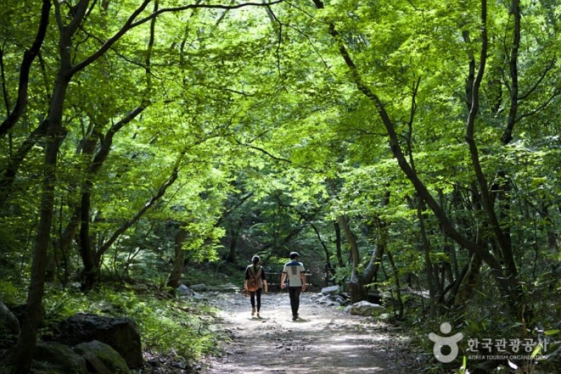 內藏山國立公園 (28/40)