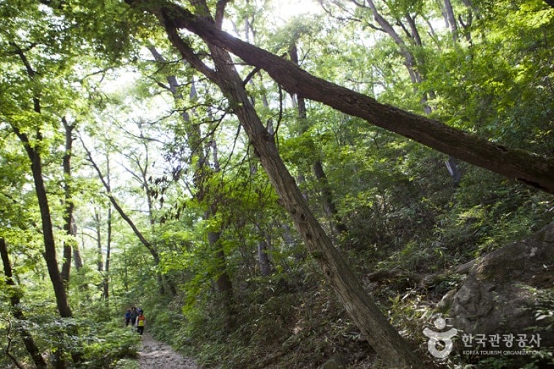 內藏山國立公園 (29/40)