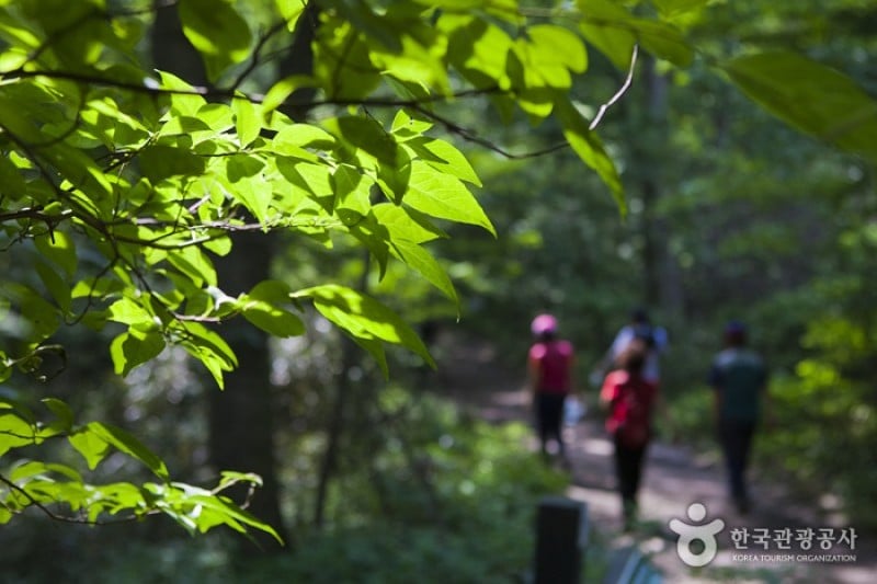內藏山國立公園 (30/40)