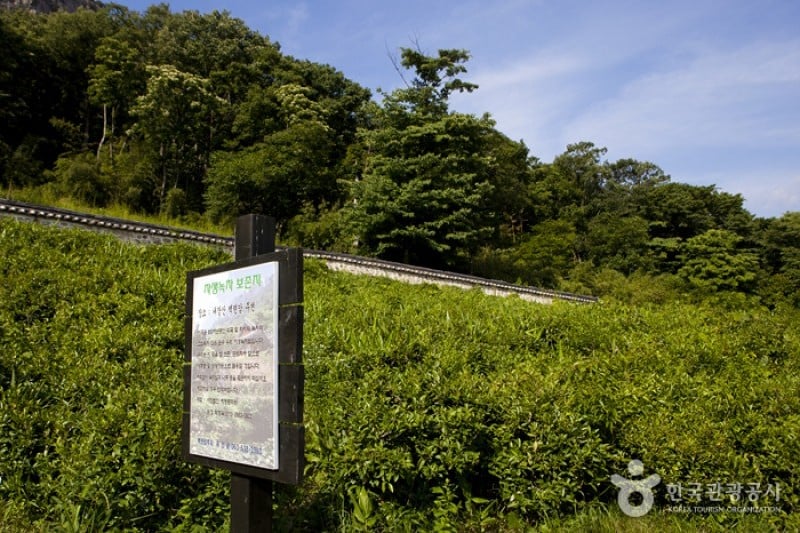 內藏山國立公園 (32/40)