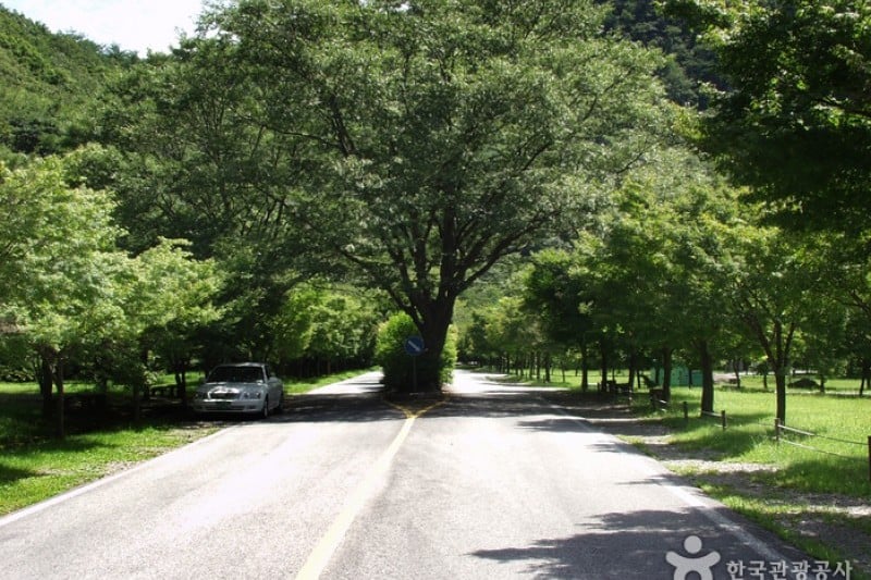內藏山國立公園 (33/40)