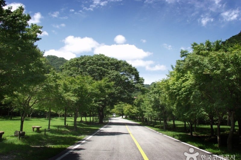 內藏山國立公園 (34/40)