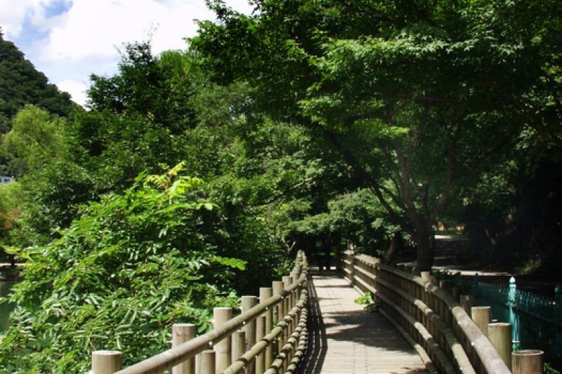 內藏山國立公園 (35/40)