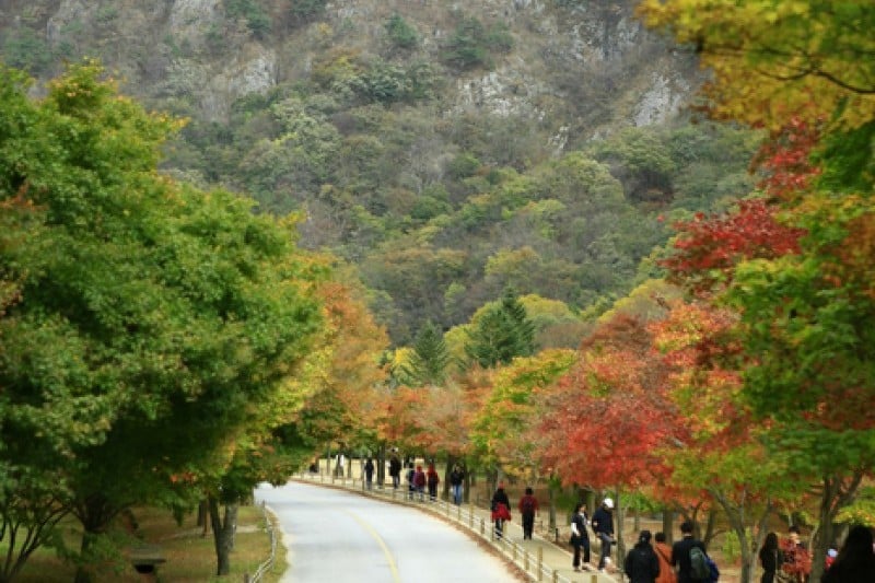 內藏山國立公園 (39/40)