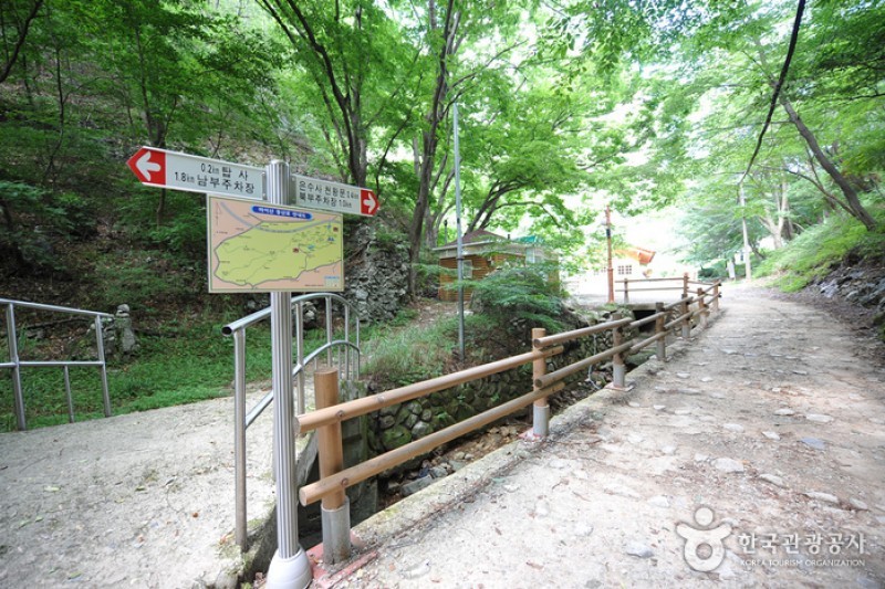 馬耳山道立公園  (2/22)