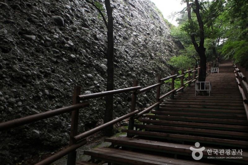馬耳山道立公園  (6/22)
