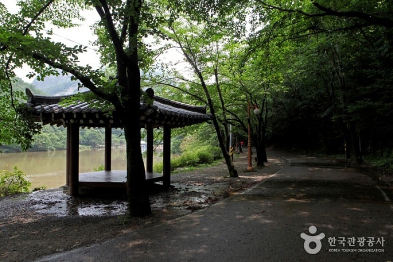 馬耳山道立公園  (12/22)