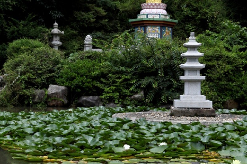 馬耳山道立公園  (13/22)