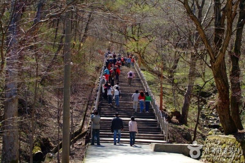 馬耳山道立公園  (18/22)