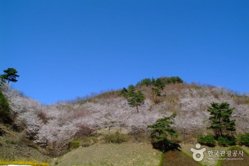馬耳山道立公園  (19/22)