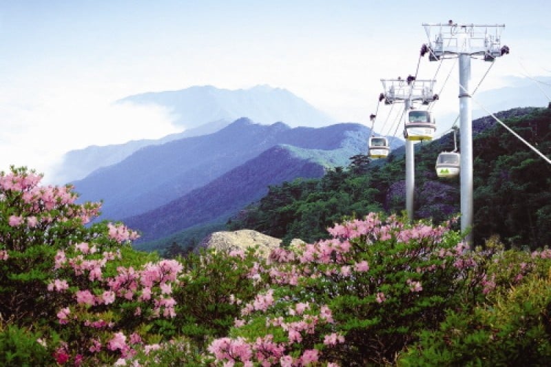 茂朱德裕山渡假村