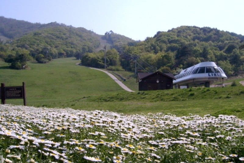 茂朱德裕山渡假村