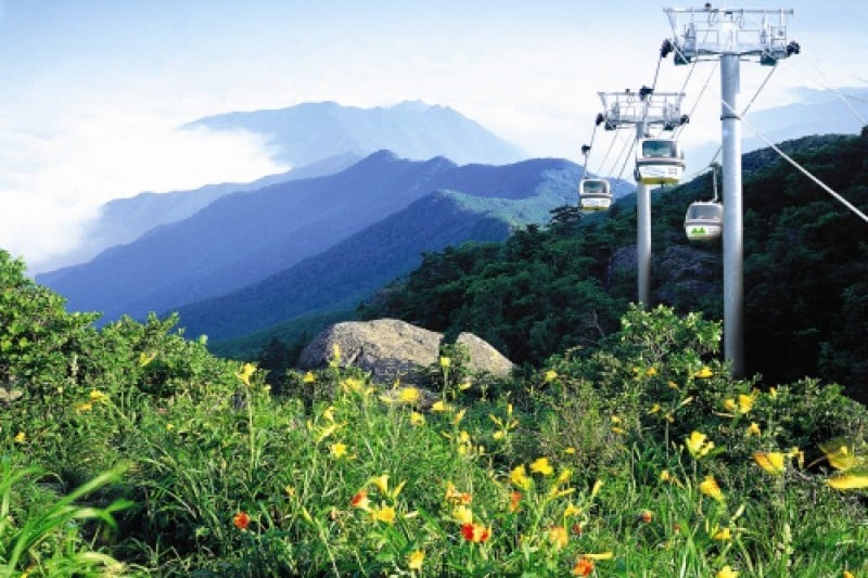 茂朱德裕山渡假村