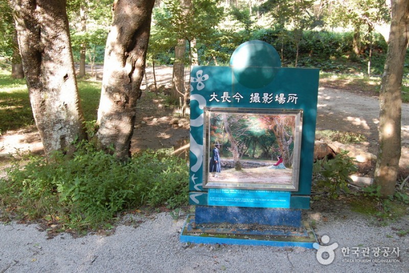 來蘇寺 (2/34)