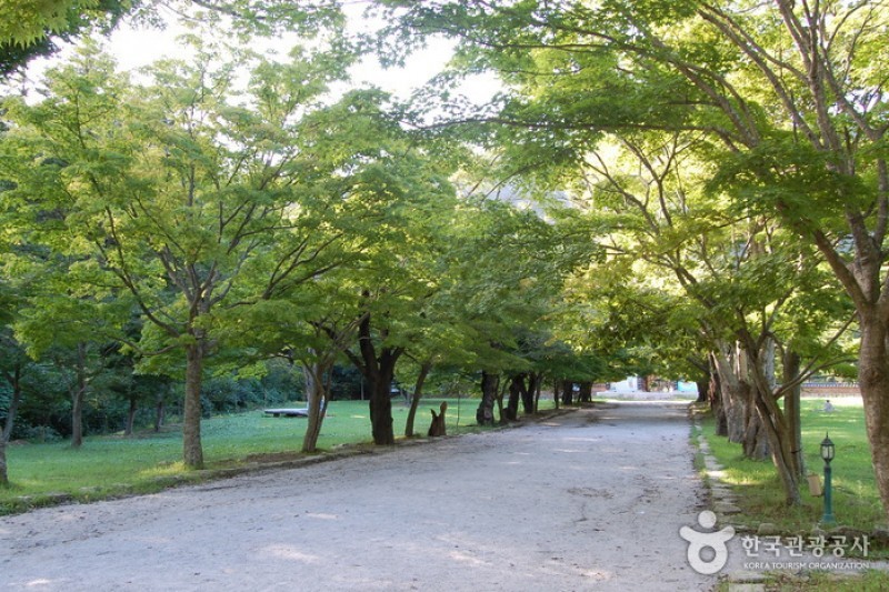 來蘇寺 (3/34)