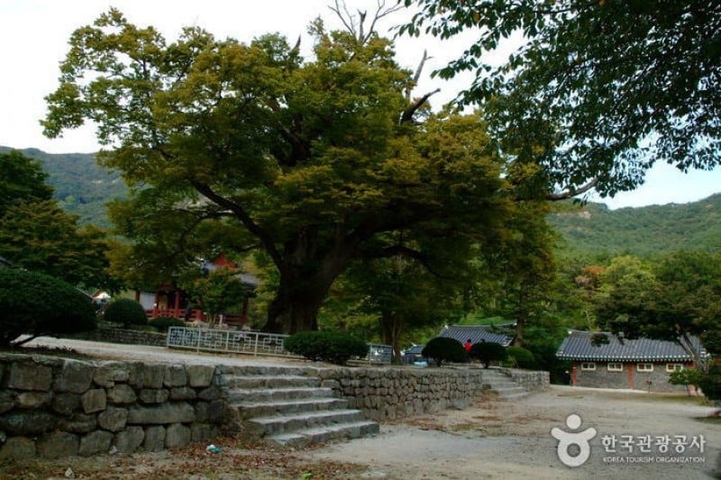來蘇寺 (30/34)