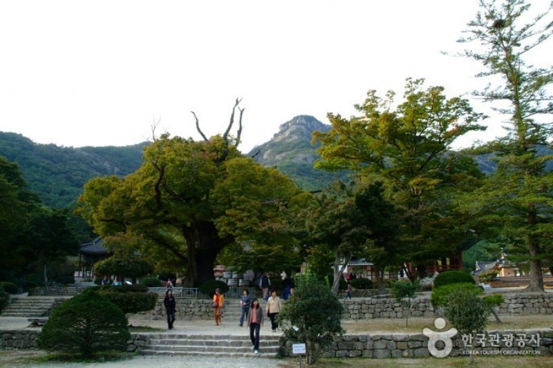 來蘇寺 (31/34)