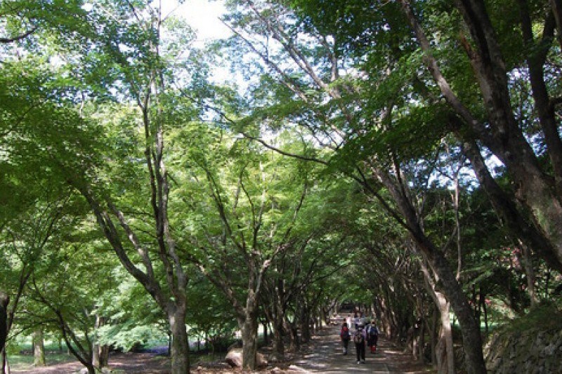 內藏寺  (1/39)
