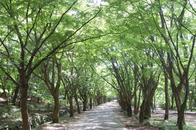 內藏寺  (5/39)