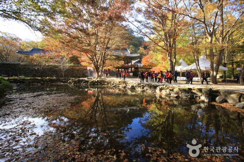 內藏寺  (19/39)