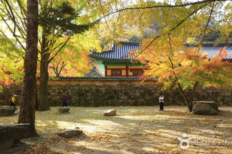 內藏寺  (20/39)