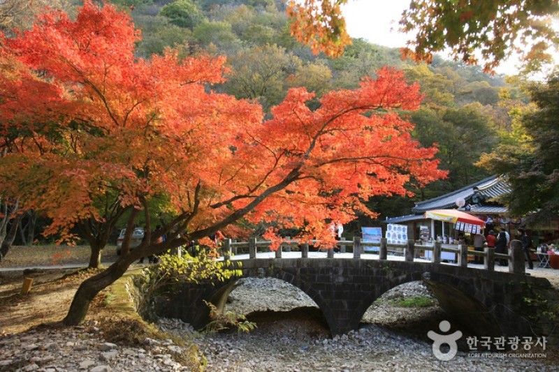 內藏寺  (21/39)