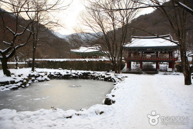 內藏寺  (30/39)