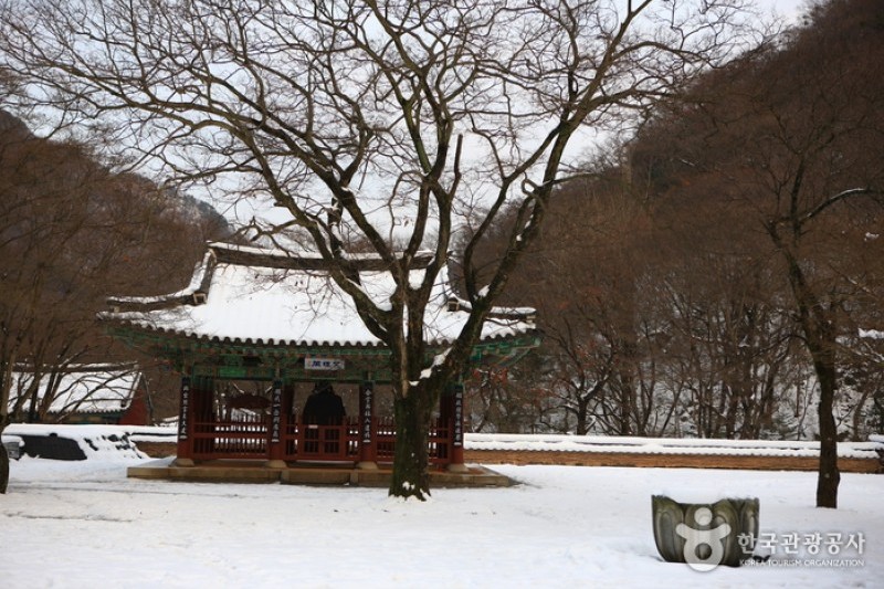 內藏寺  (36/39)