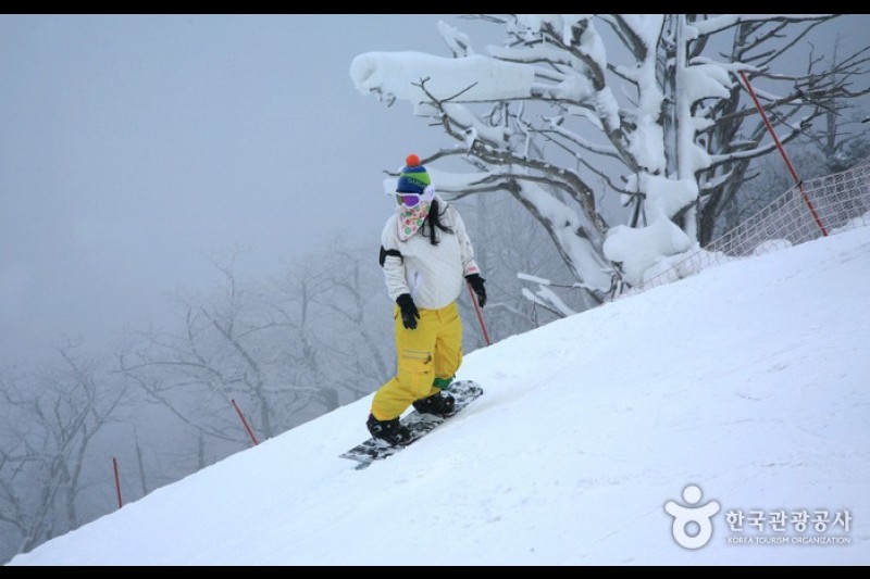 茂朱德裕山渡假村滑雪場