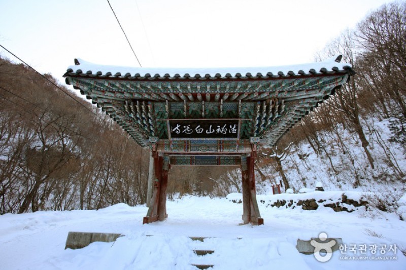 德裕山白蓮寺 (1/25)
