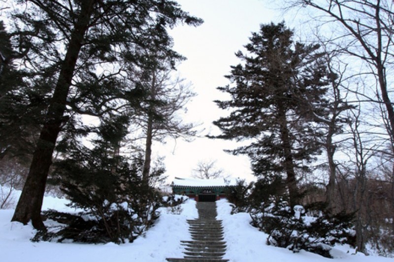 德裕山白蓮寺 (2/25)