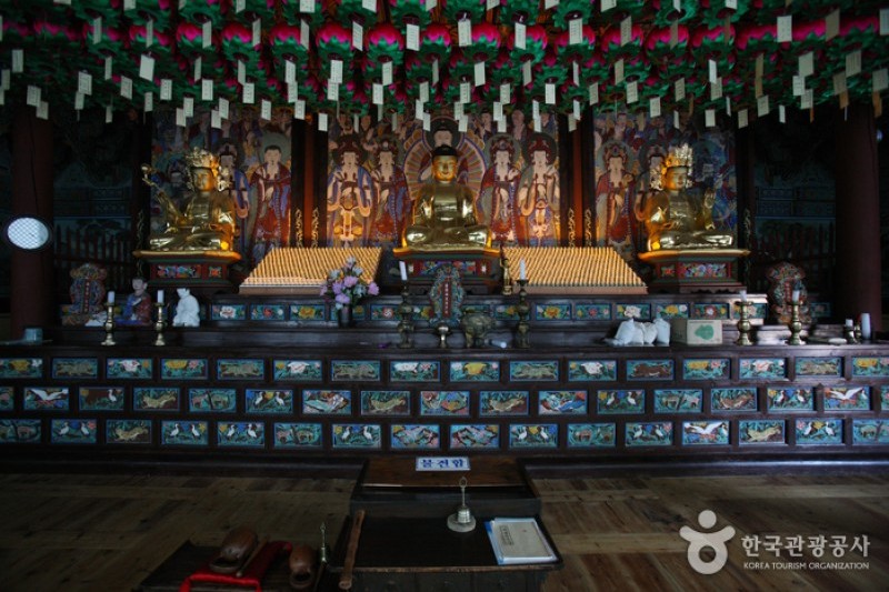 德裕山白蓮寺 (8/25)