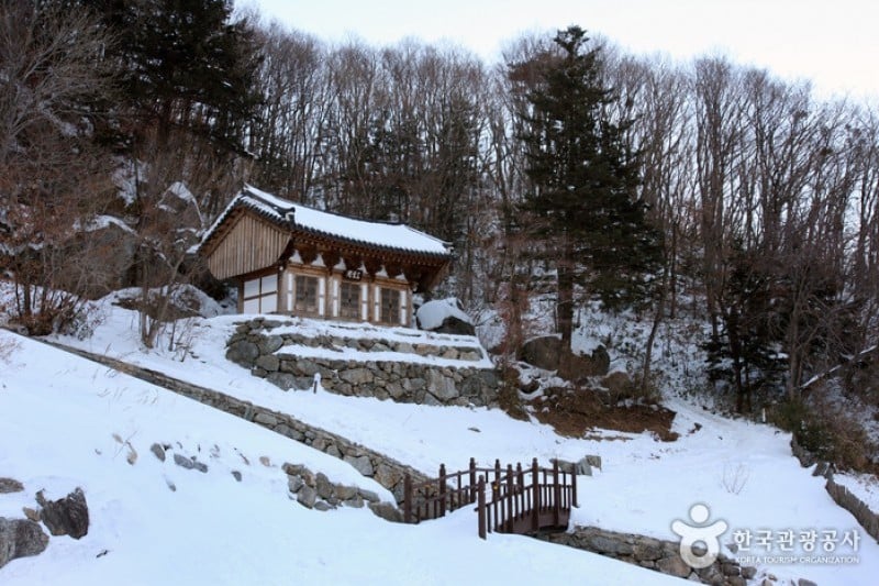 德裕山白蓮寺 (12/25)