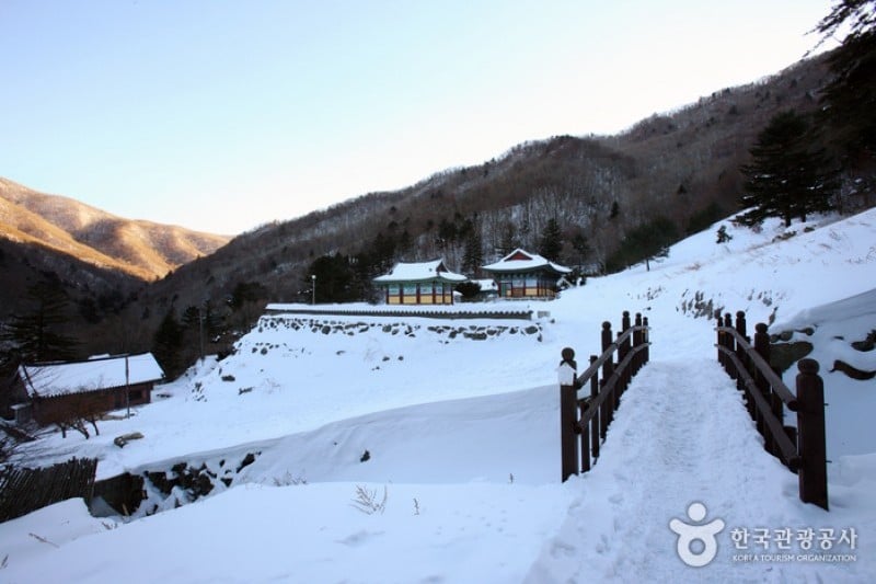 德裕山白蓮寺 (14/25)