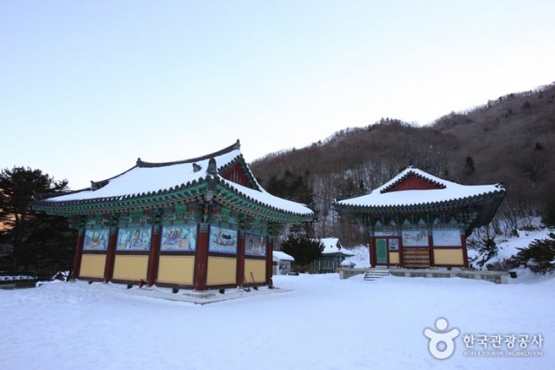 德裕山白蓮寺 (15/25)