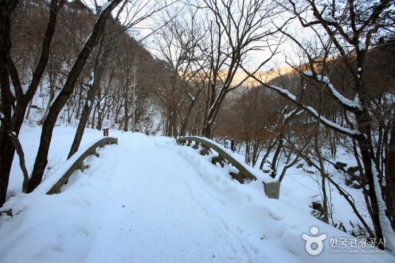 德裕山白蓮寺 (21/25)