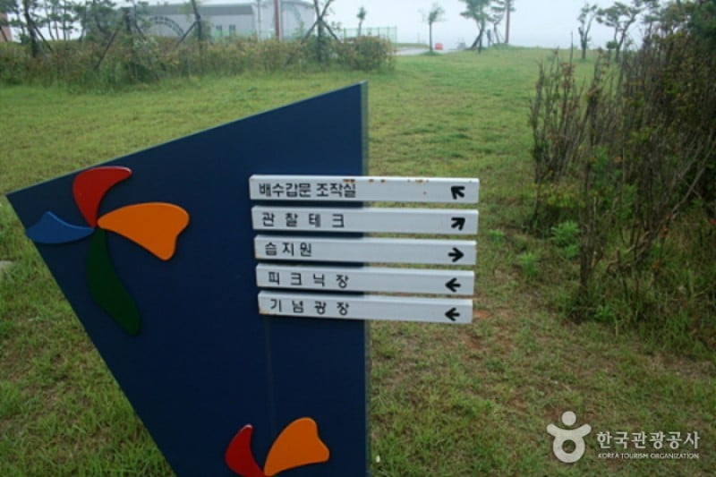 新萬金 (3/9)
