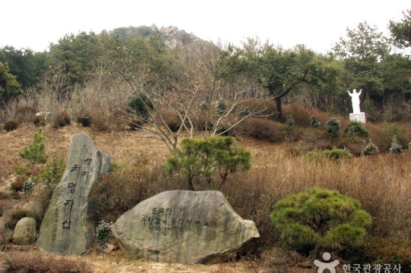 致命者山聖地 (4/4)