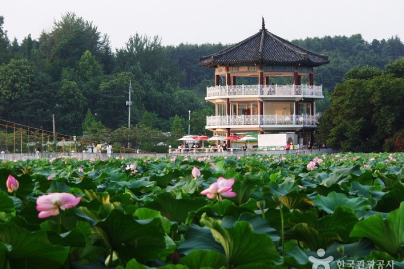 德津公園