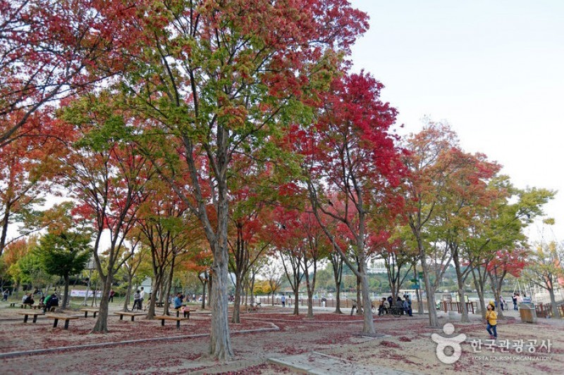 德津公園