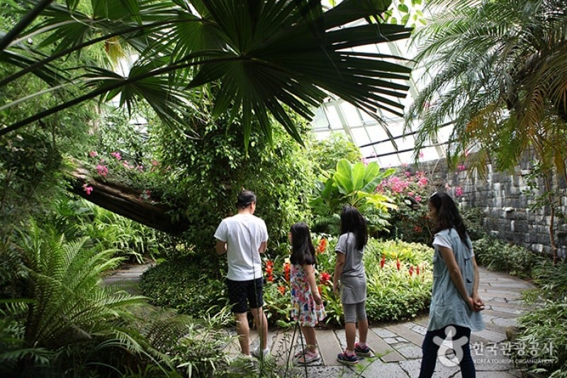 茂朱螢火蟲樂園 (9/13)