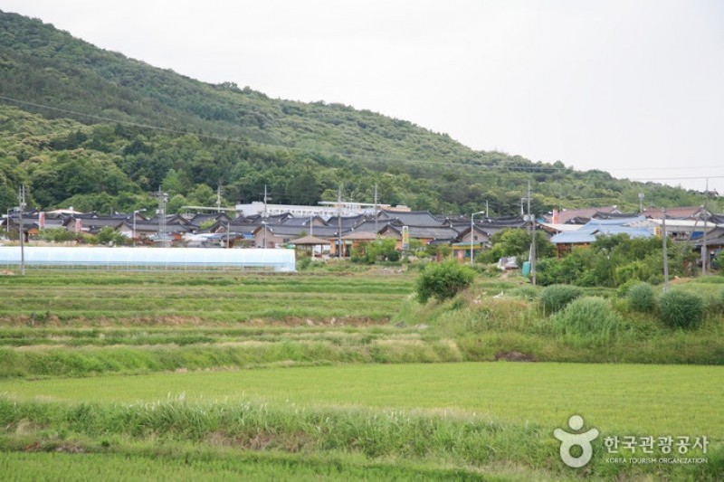 淳昌傳統辣椒醬村 (8/12)