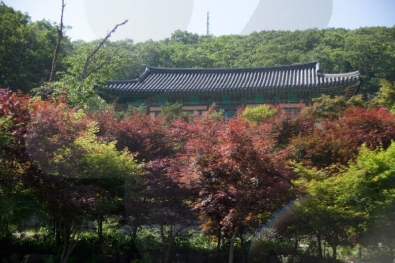 安國寺 (2/9)